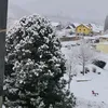 molanatarqmaqsood8