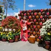 van.ly756