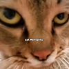 SEE_NYI