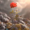 nunu70765