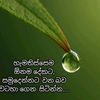 sadali877