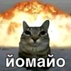 2.0kitty2.0