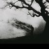 ryysoftspkn1
