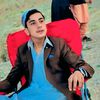 silab.59
