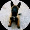 aminmohamed7384