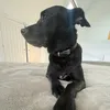 gmmarco8
