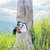 nguyn.huy.bo88