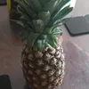 pineapple_fan1