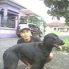 iwanobudsetiawan4