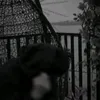 hakukbitmuaflo112