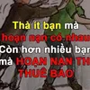 quetoihaiphong88616h