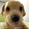 _areti_23
