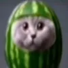 k13m8_