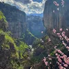 kurdistan_893