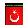gucluturkiye5