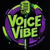 VoiceVibe