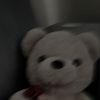 pelly8040