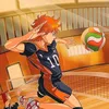 Voleibol