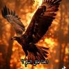 user2757024153909