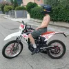 massimo_pet