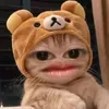 bebe_zhai