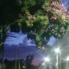 luvlyxambrr