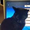 sophaplays96
