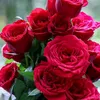 lianneyohan2305