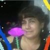 anglica.pintoodoo