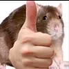 tambel_abc