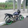 tigerbucin25