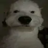 xaviersg6