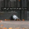 user7273939081224