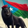 qalaska jiicboor💪💪🇸🇴🇸🇸🦁