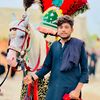 meer.taqi53