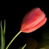 shaimaaalrubaie82