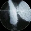 afuckinggodholaho