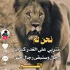 user43601393118654