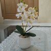rini.rini0652