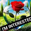 user9008660255818