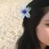 zahraa52155
