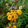 alone_with_nature1