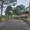 nguyen.nhung220