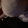 dalgy_