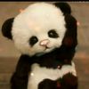majhola...7