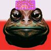 opolo_eye