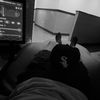 amaury6558