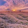 .hamza5636
