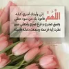 user2381476356503