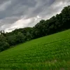 farh_2026
